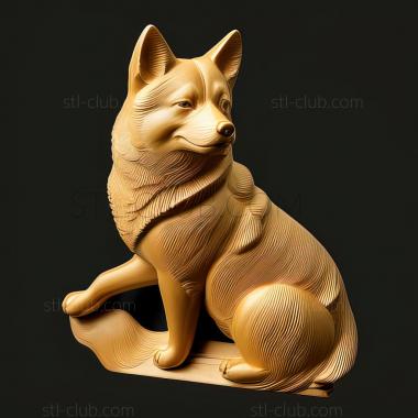 3D model st Shikoku dog breed dog (STL)